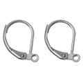 EARRINGS STAINLESS STEEL