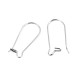 Stainless Steel Ear Wire Kidney Shape 30 mm